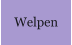 Welpen